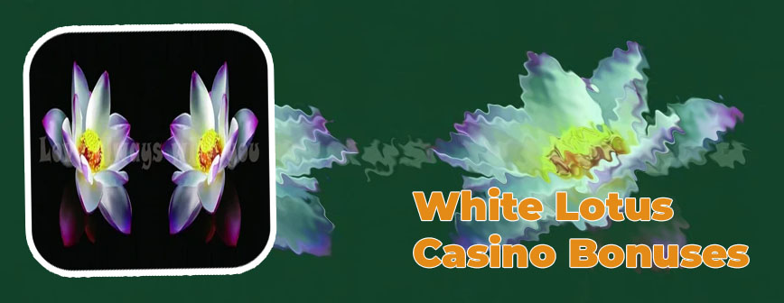White lotus casino codes
